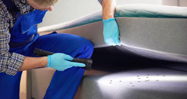 Best Residential Pest Control  in Embreeville, TN