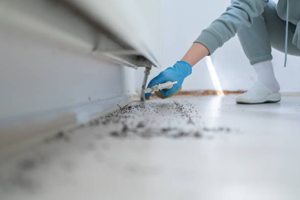 Best Commercial Pest Control Services  in Embreeville, TN